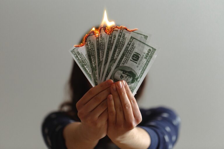 The Art of Lean Governance: Go Lean and Stop Burning Cash